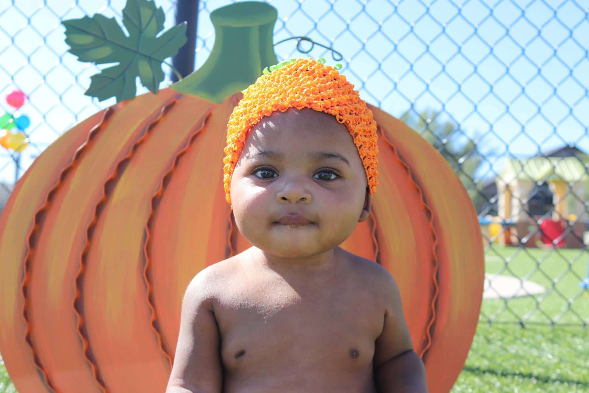 Pumpkin Patch Deals In Colorado Springs 1 toddler care